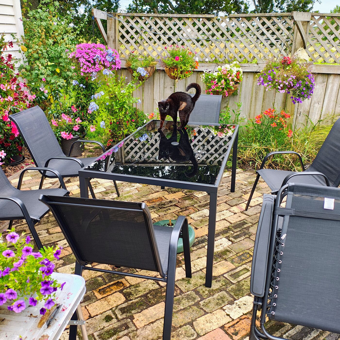 Patio Table, Chairs, Umbrella & Cover