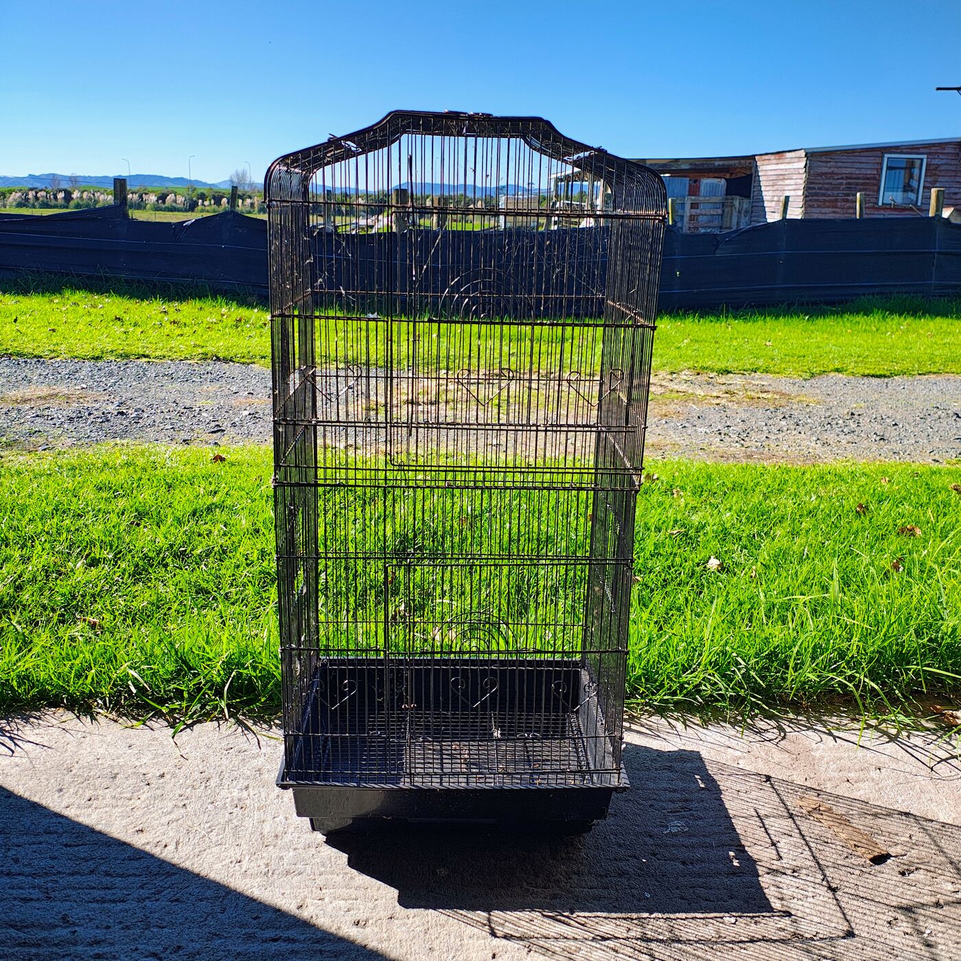 Medium Bird Cage