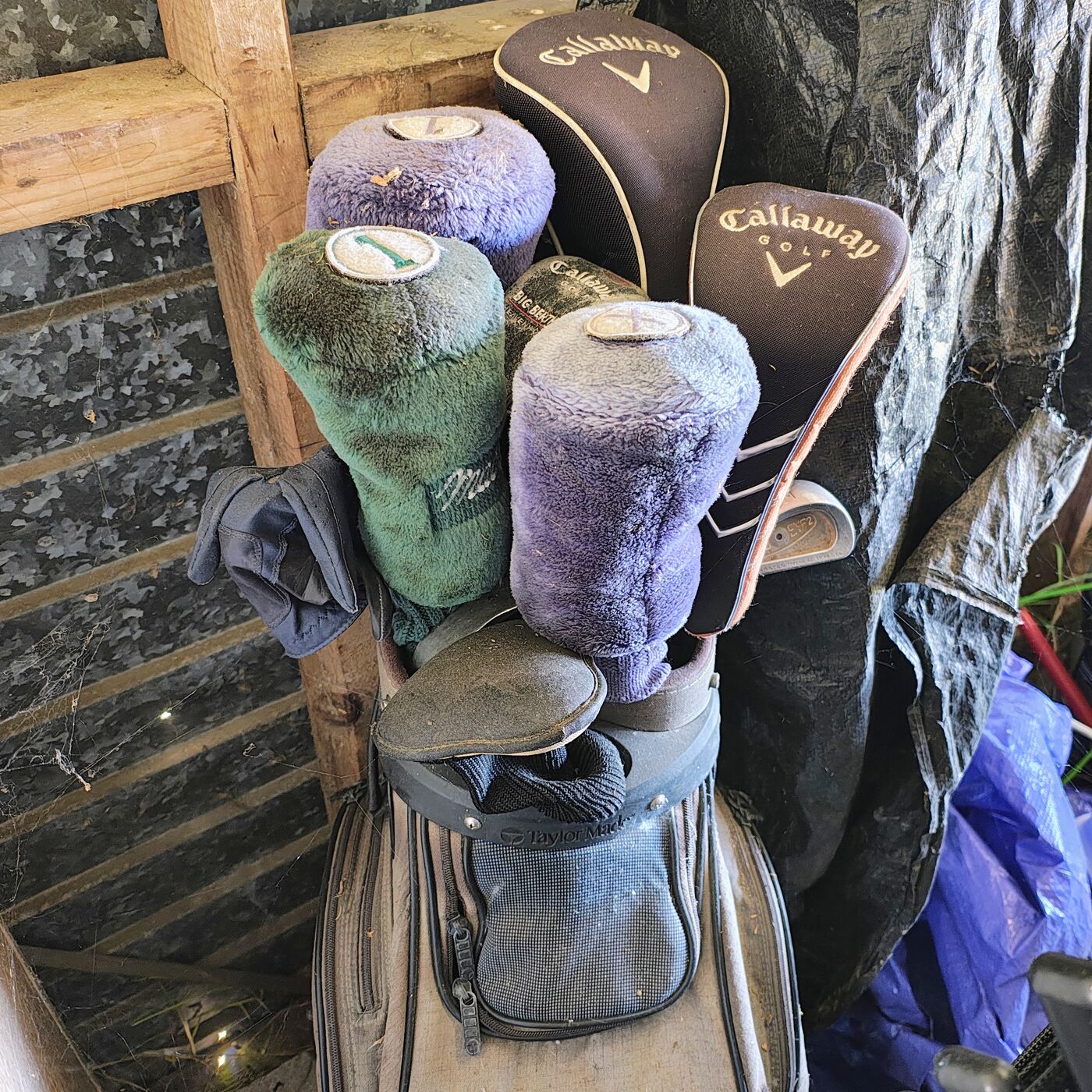 Golf Clubs, Bag & Buggy Set