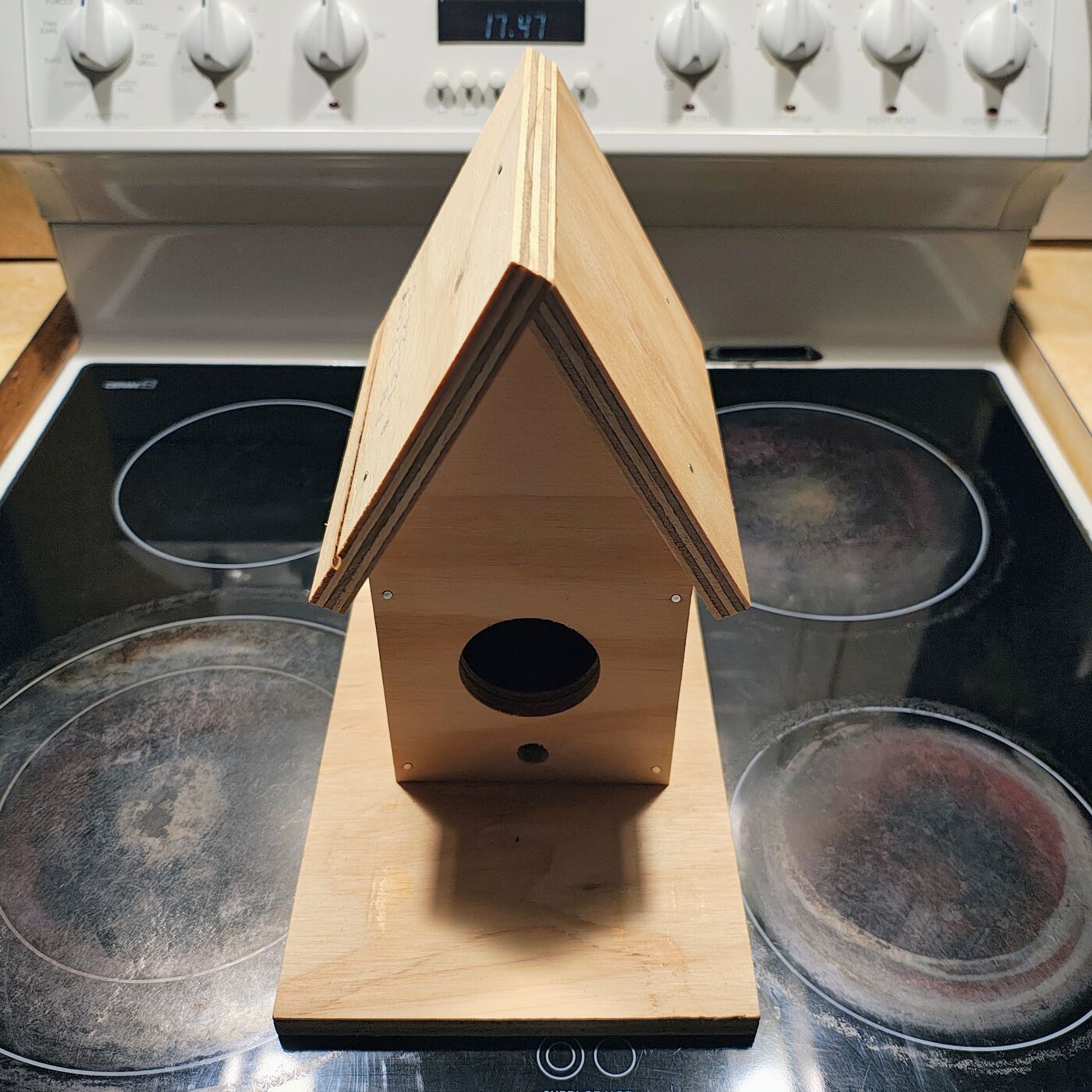 Handmade Wooden Bird House