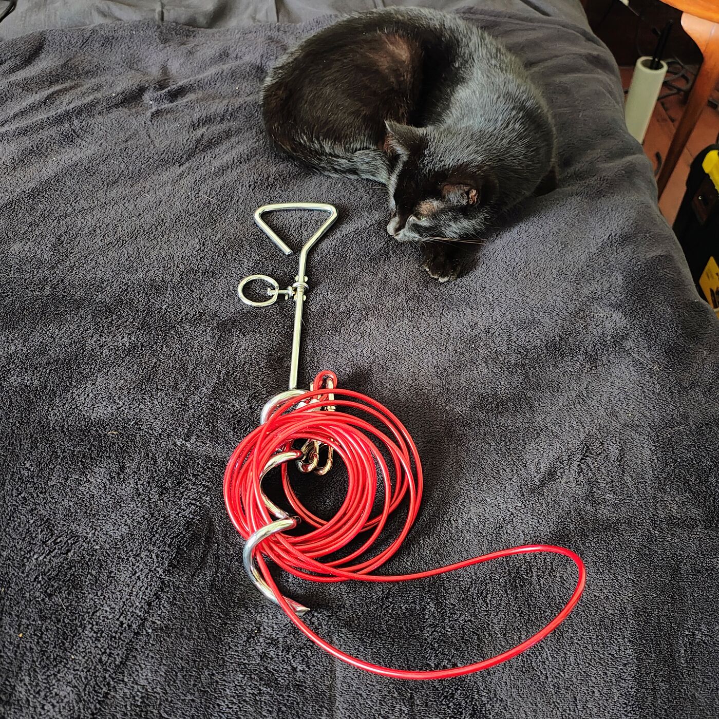 Dog Stake and Cable